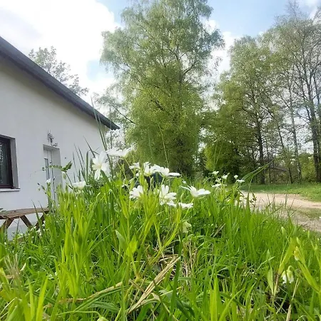 Kleine Am Haeufchen Hoefchen * Venusmuehle